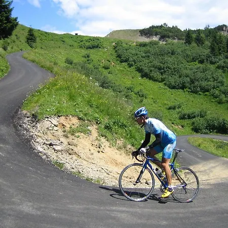 Hotel Scarpone Forni Avoltri