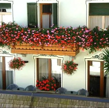 Hotel Scarpone 3*