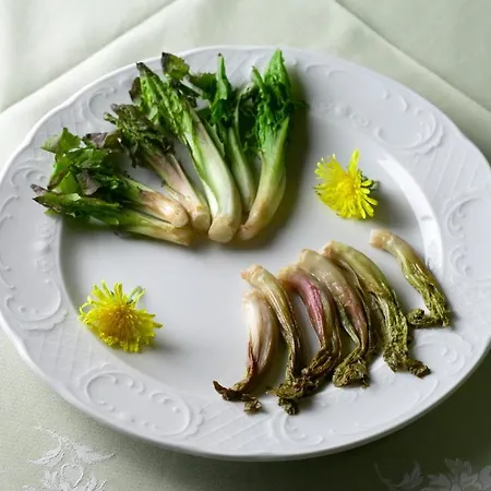 Hotel Scarpone Forni Avoltri